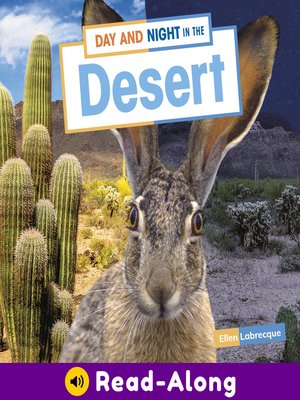 cover image of Day and Night in the Desert